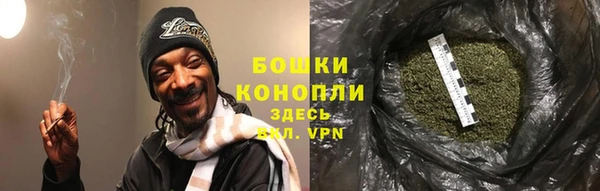ALPHA PVP Белокуриха