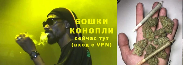 ALPHA PVP Белокуриха
