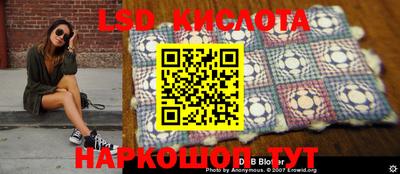сатива Новозыбков