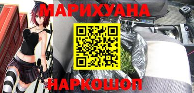 сатива Новозыбков