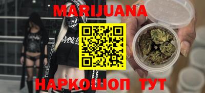 сатива Новозыбков