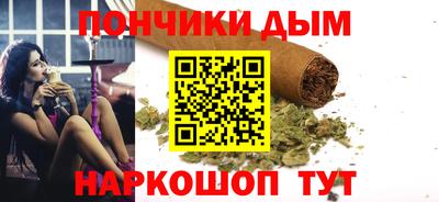 сатива Новозыбков