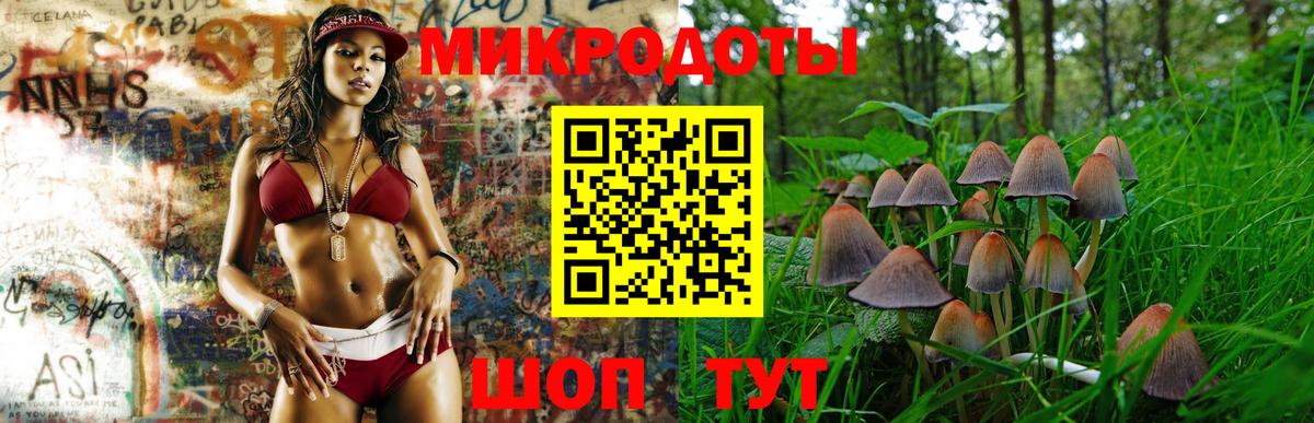 Псилоцибиновые грибы мицелий Пыть-Ях