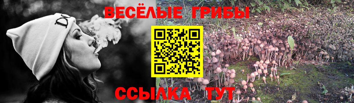 Галлюциногенные грибы MAGIC MUSHROOMS  Вход с VPN  Пыть-Ях  Галлюциногенные грибы Psilocybe 